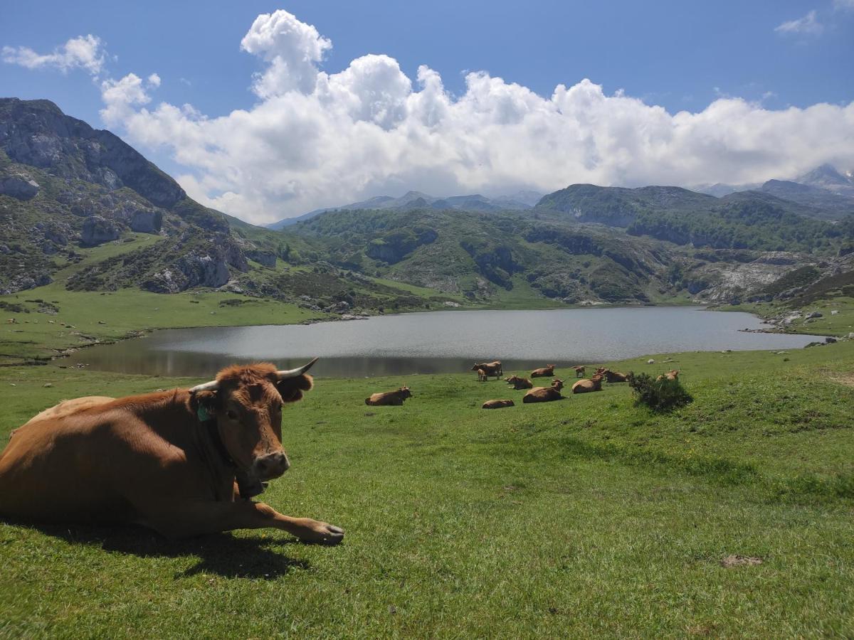 Apartamentos Rurales La Caviana Onís Exteriör bild