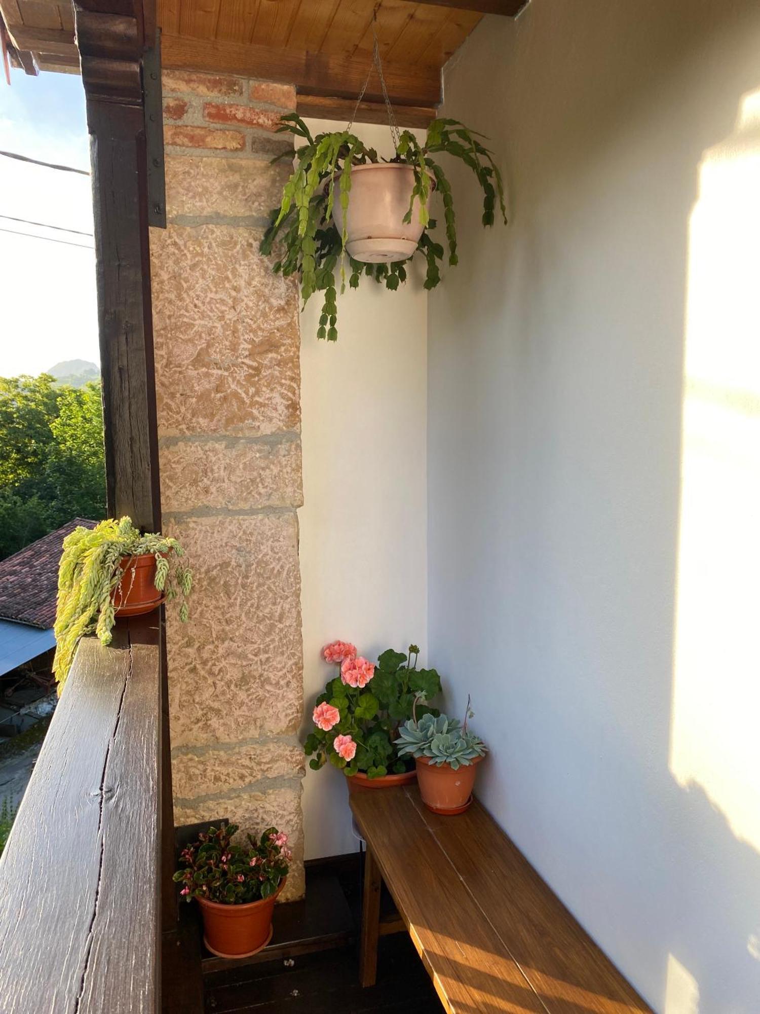 Apartamentos Rurales La Caviana Onís Exteriör bild